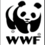 COORDINATION MECHANISM WORKING GROUP (CMWG) : CTI-CFF BRANDING AND COMMUNICATION WORKSHOP