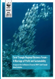 Report: 3rd CTI-CFF Business Forum, Bali, Indonesia, March 2013
