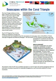 Seascapes within the Coral Triangle