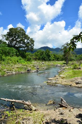 River Mehara