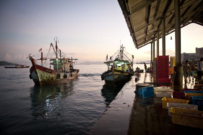 Sabah KK FishLanding5 TRead
