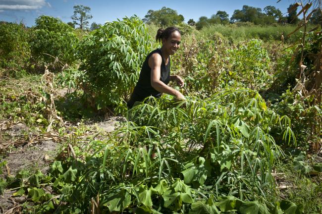 Timor Leste Com Robella Mendes TRead