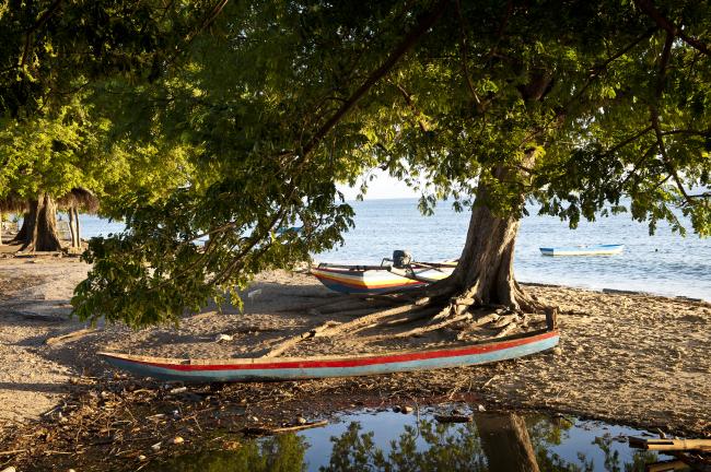  Timor Leste NKS Com TRead