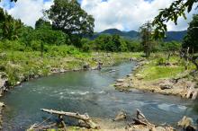 River Mehara 9640