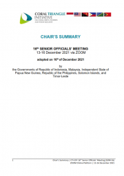 SOM-16 Chair's Summary